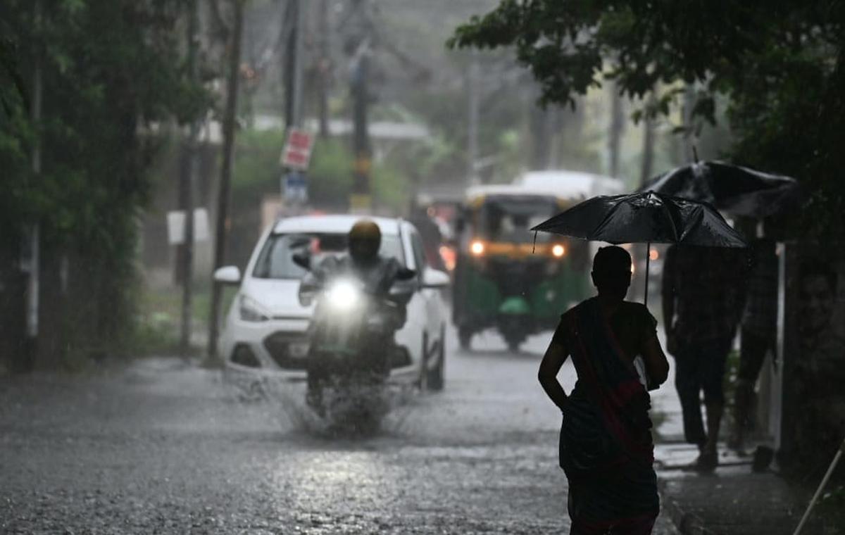 മഴയിലും കാറ്റിലും കെഎസ്ഇബിക്ക് 48 കോടിയുടെ നഷ്ടം